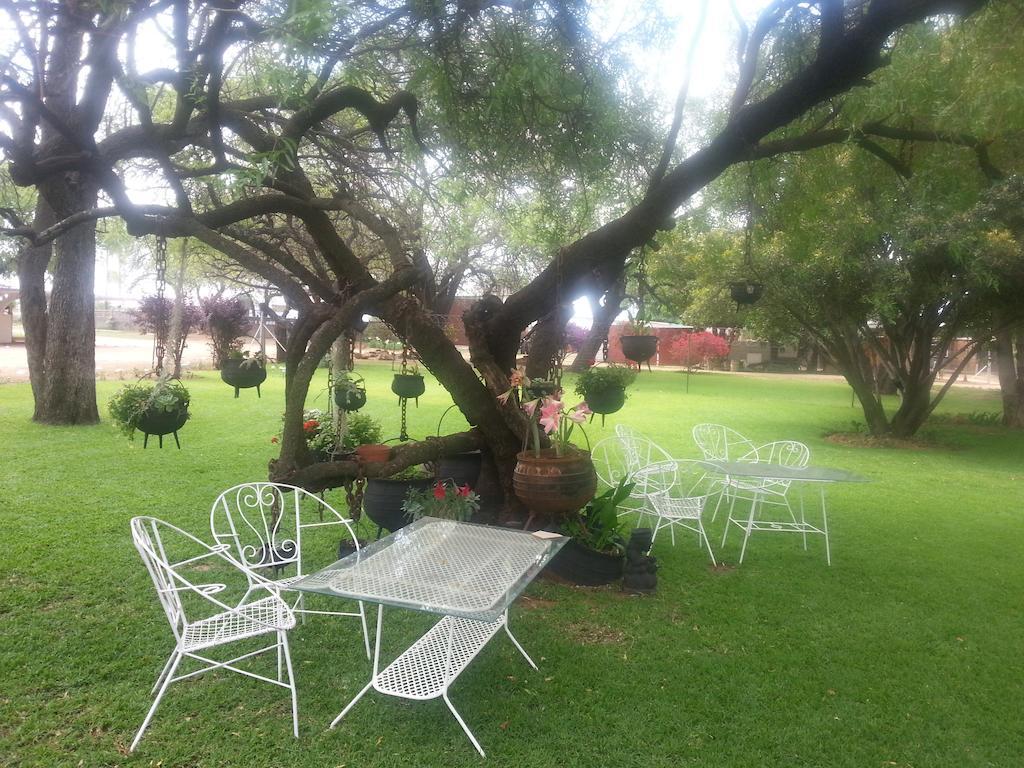 Black Swan Guest House Boshoek Eksteriør billede